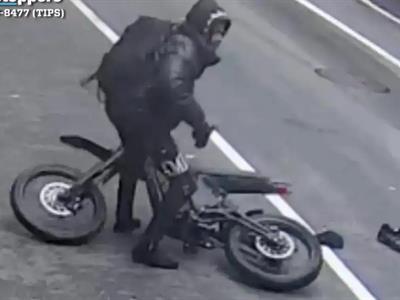 Miembros de los Trinitarios arrestados por robos en el Bronx