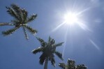 Persistirán las altas temperaturas y la presencia de polvo del Sahara este sábado Persistirán las altas temperaturas y la presencia de polvo del Sahara este sábado