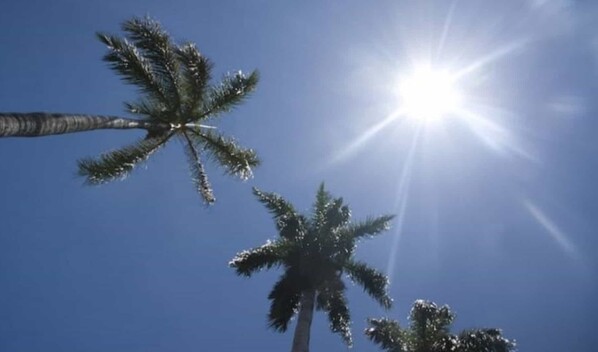 Persistir&aacute;n las altas temperaturas y la presencia de polvo del Sahara este s&aacute;bado