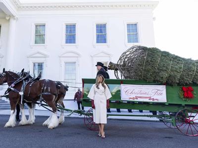 Melania Trump recibe el árbol de Navidad de la Casa Blanca