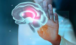 El cerebro humano viene preconfigurado con instrucciones para comprender el mundo