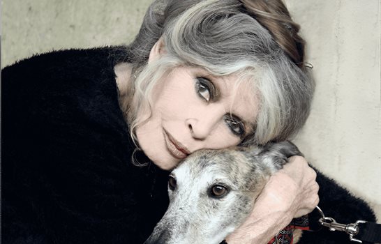 Muere la actriz y cantante Brigitte Bardot, icono del cine franc&eacute;s, a los 91 a&ntilde;os