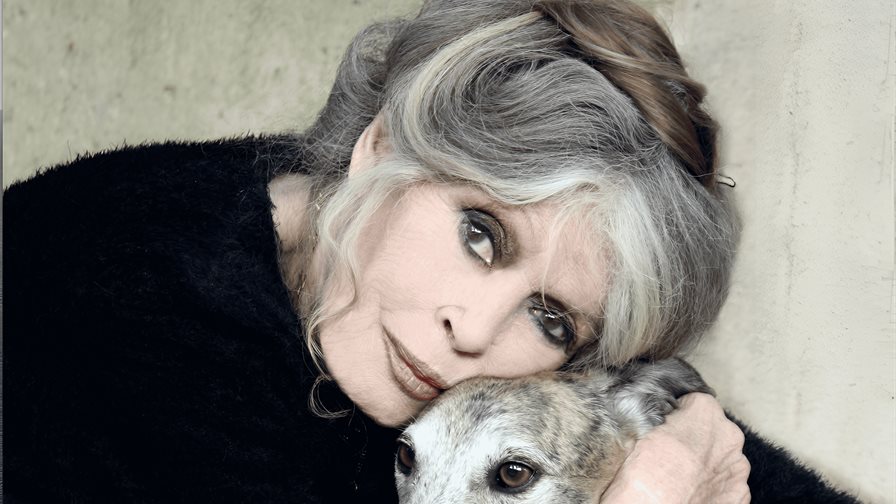 Brigitte Bardot enfrenta una nueva hospitalizaci&oacute;n, la segunda en lo que va de oto&ntilde;o