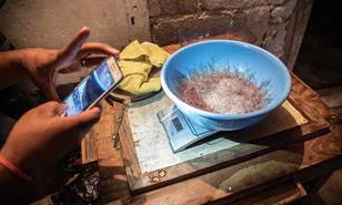 Esta semana se discute el futuro de la anguila americana en la convención de CITES