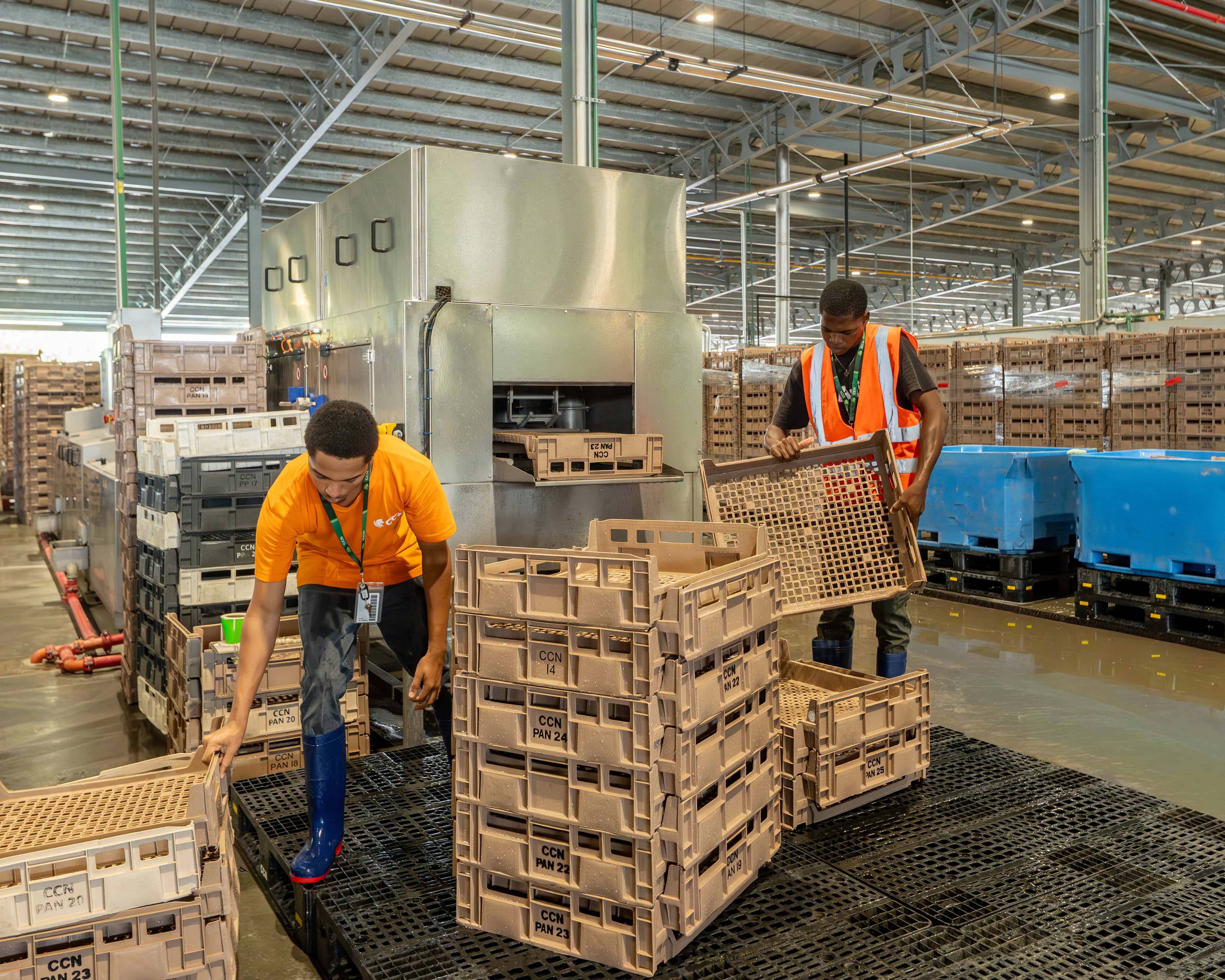 Procesando canastos plasticos para ser revalorizados