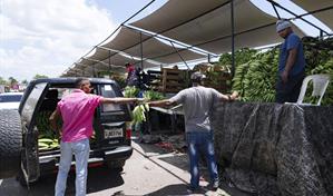 Aumento en el precio de los plátanos y otros bienes agrícolas impulsa la inflación en noviembre