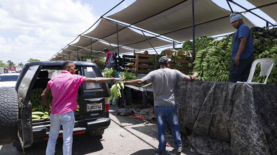 Aumento en el precio de los plátanos y otros bienes agrícolas impulsa la inflación en noviembre Aumento en el precio de los plátanos y otros bienes agrícolas impulsa la inflación en noviembre