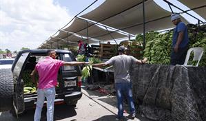 Los plátanos están por las nubes, costando hasta RD$ 33.50