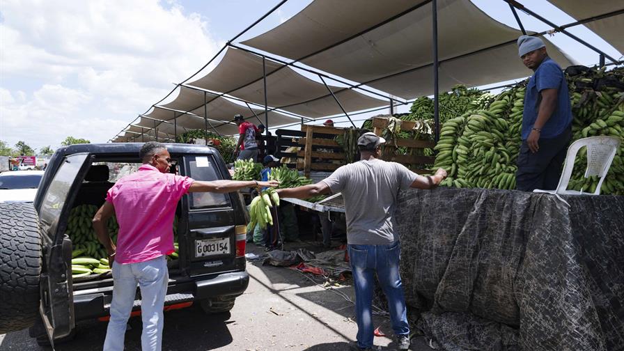 Los plátanos están por las nubes, costando hasta RD$ 33.50