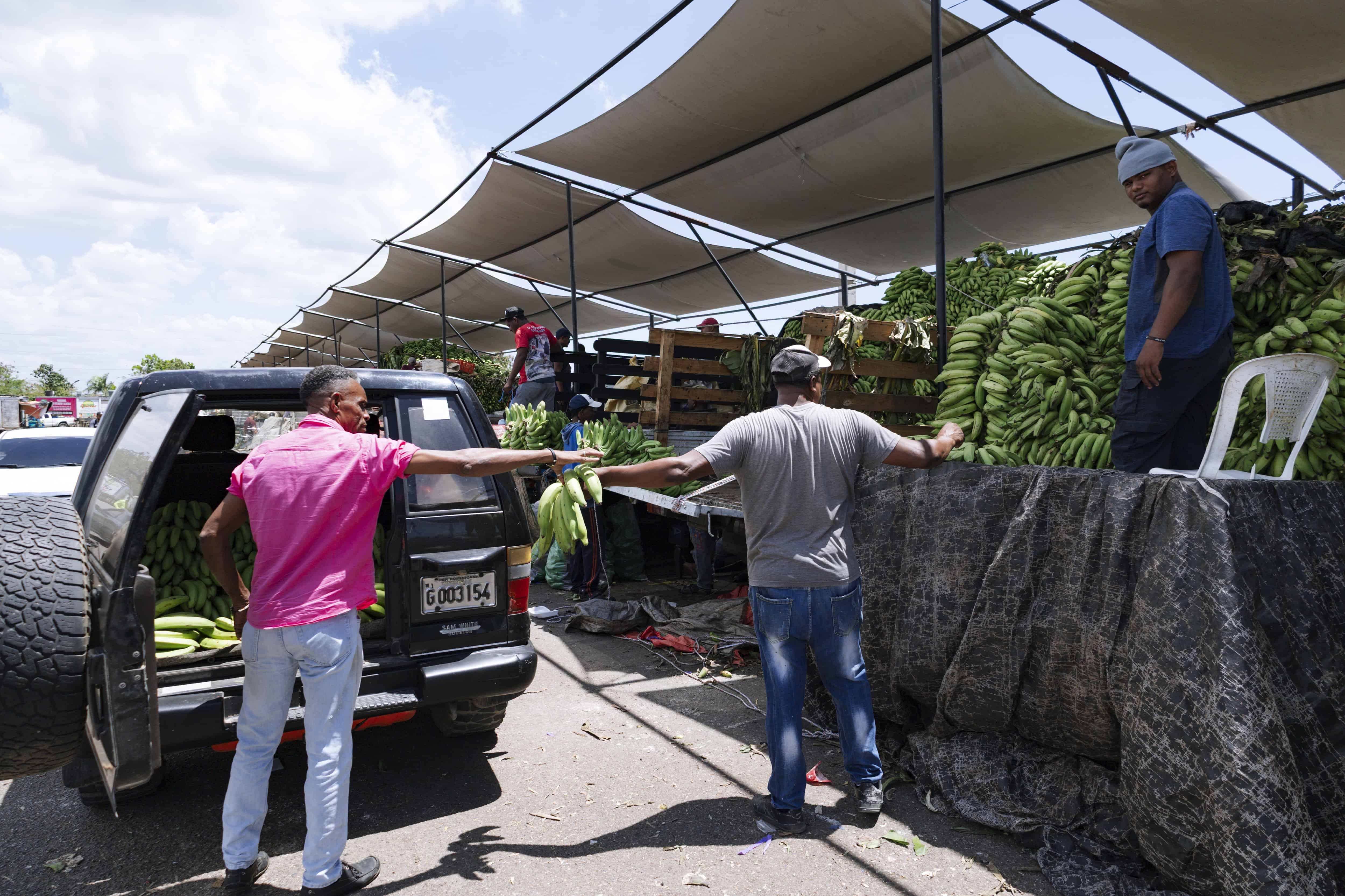 Los plátanos están por las nubes, costando hasta RD$ 33.50