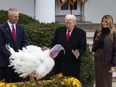 Trump indulta pavos Acción de Gracias y bromea sobre Biden