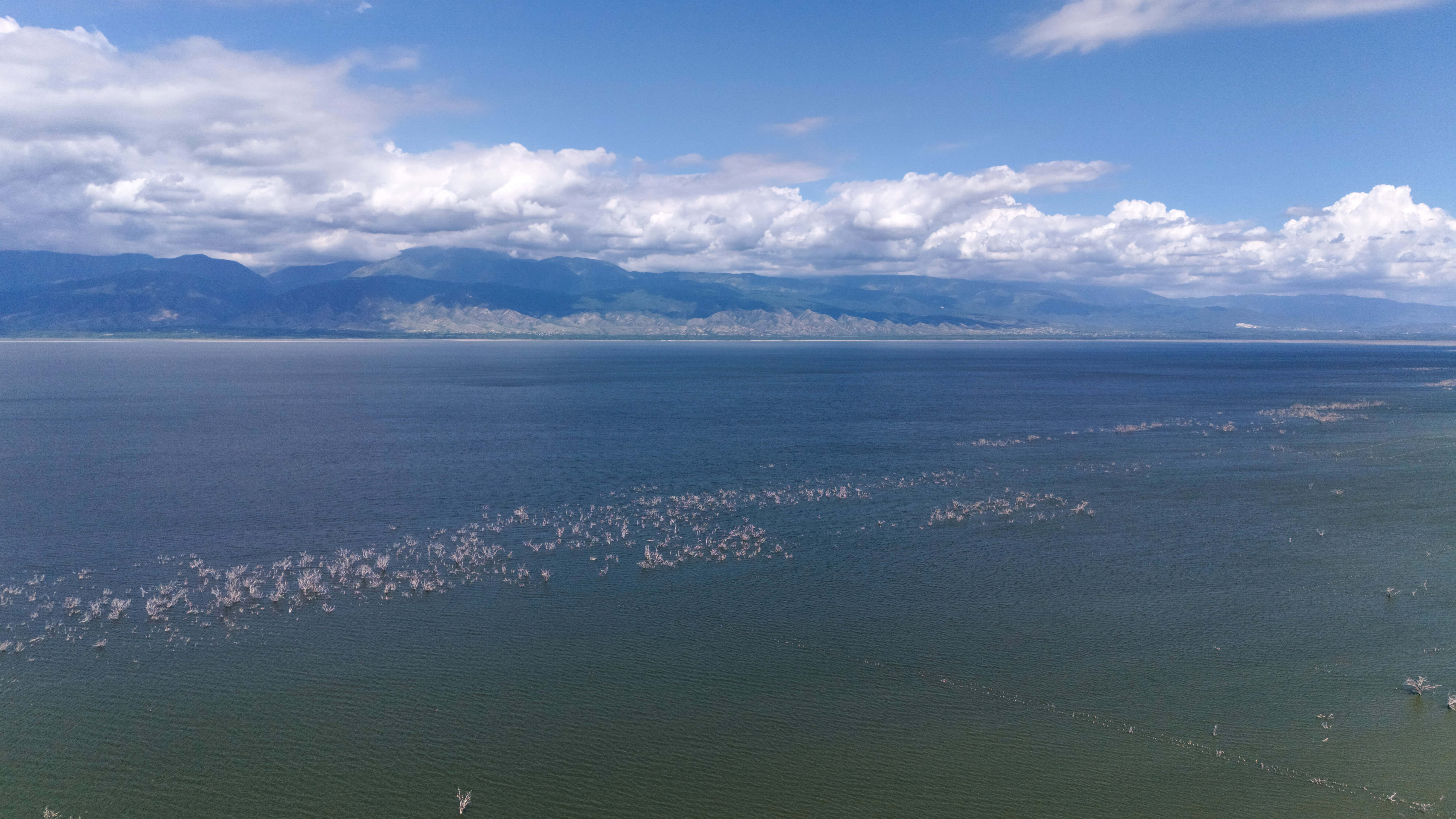 Aseguran que el área protegida ha disminuido poco, sobre todo en la zona sur. 