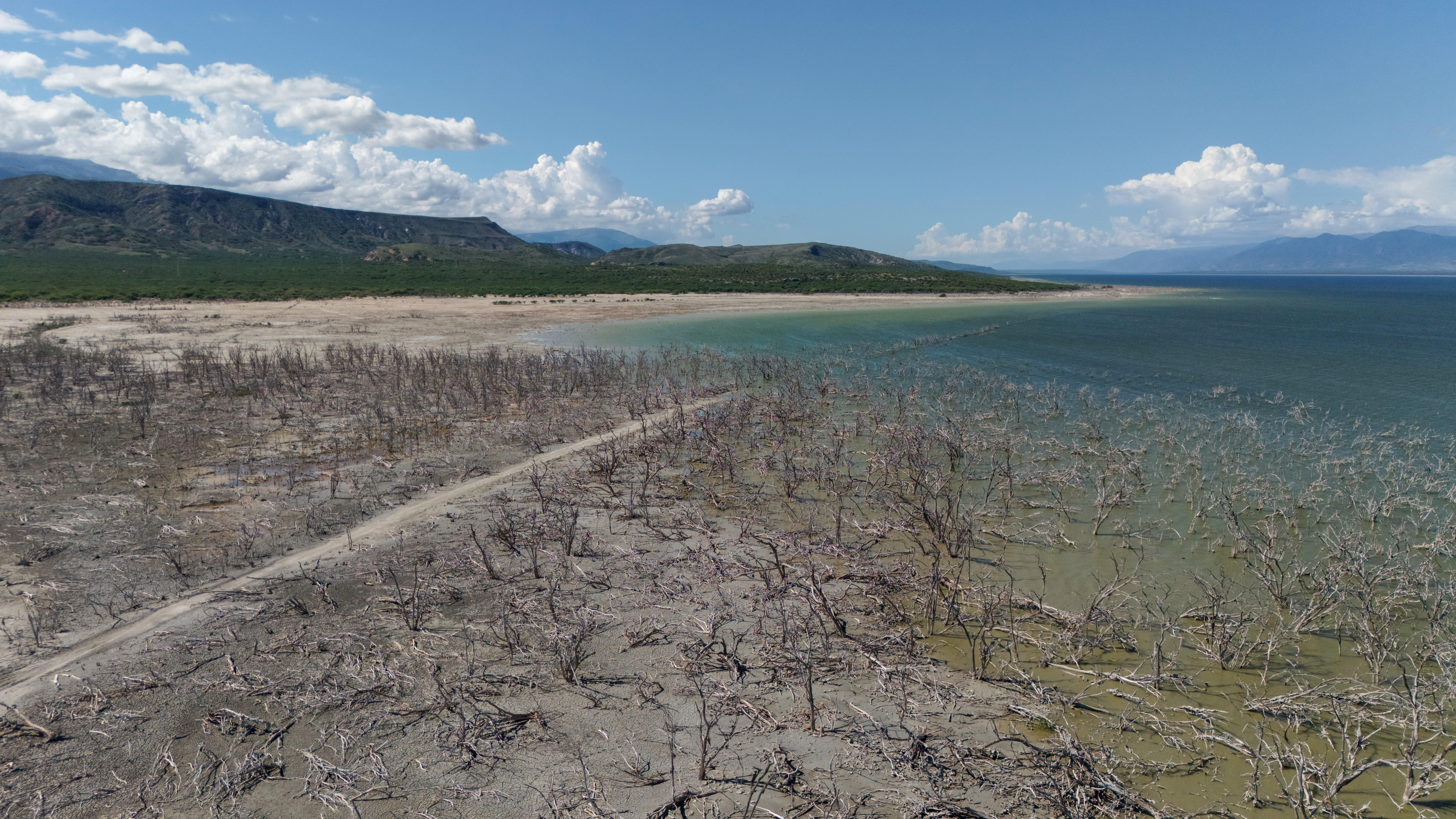 Salinidad del lago afectó flora durante crecidas. 