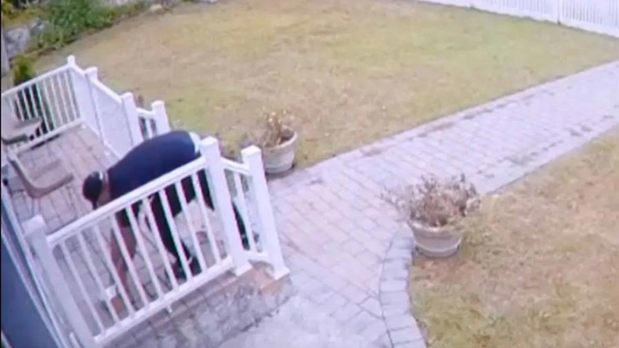 Acusan a dominicanos de robar celulares y aparatos electrónicos en Long Island, Nueva York