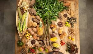 Gastronomía dominicana: una cocina que une culturas