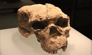 Hoy es lunes 29 de diciembre del 2025