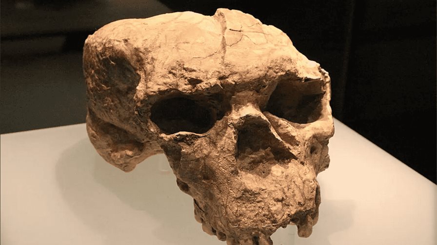 Hoy es lunes 29 de diciembre del 2025