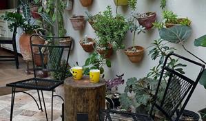 El patio de Martín Omar: alta cocina con alma de campo en la ciudad