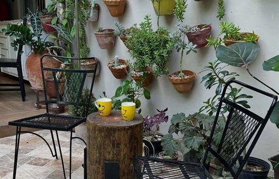 El patio de Martín Omar: alta cocina con alma de campo en la ciudad