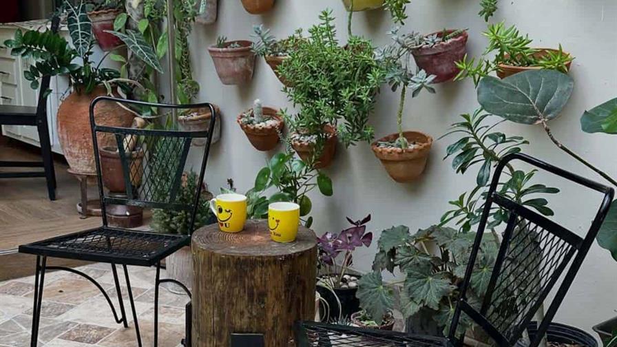 El patio de Martín Omar: alta cocina con alma de campo en la ciudad