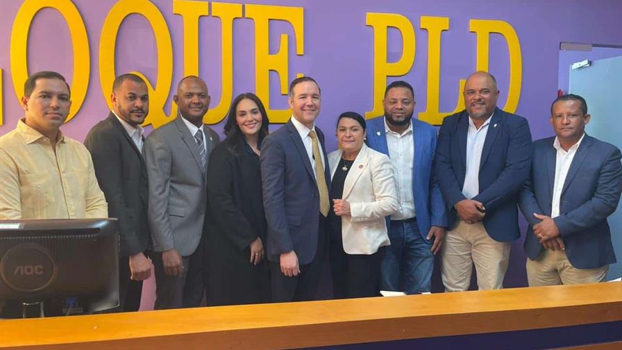 PLD alerta sobre riesgos para la democracia ante falta de preparación política