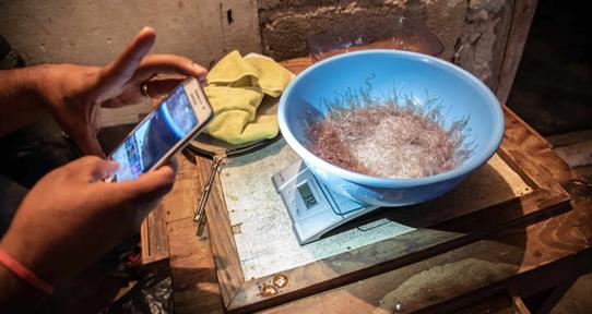 Rechazan propuesta que buscaba endurecer los permisos para pesca de anguilas