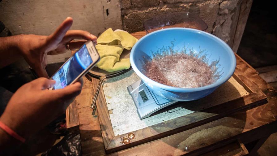 Rechazan propuesta que buscaba endurecer los permisos para pesca de anguilas