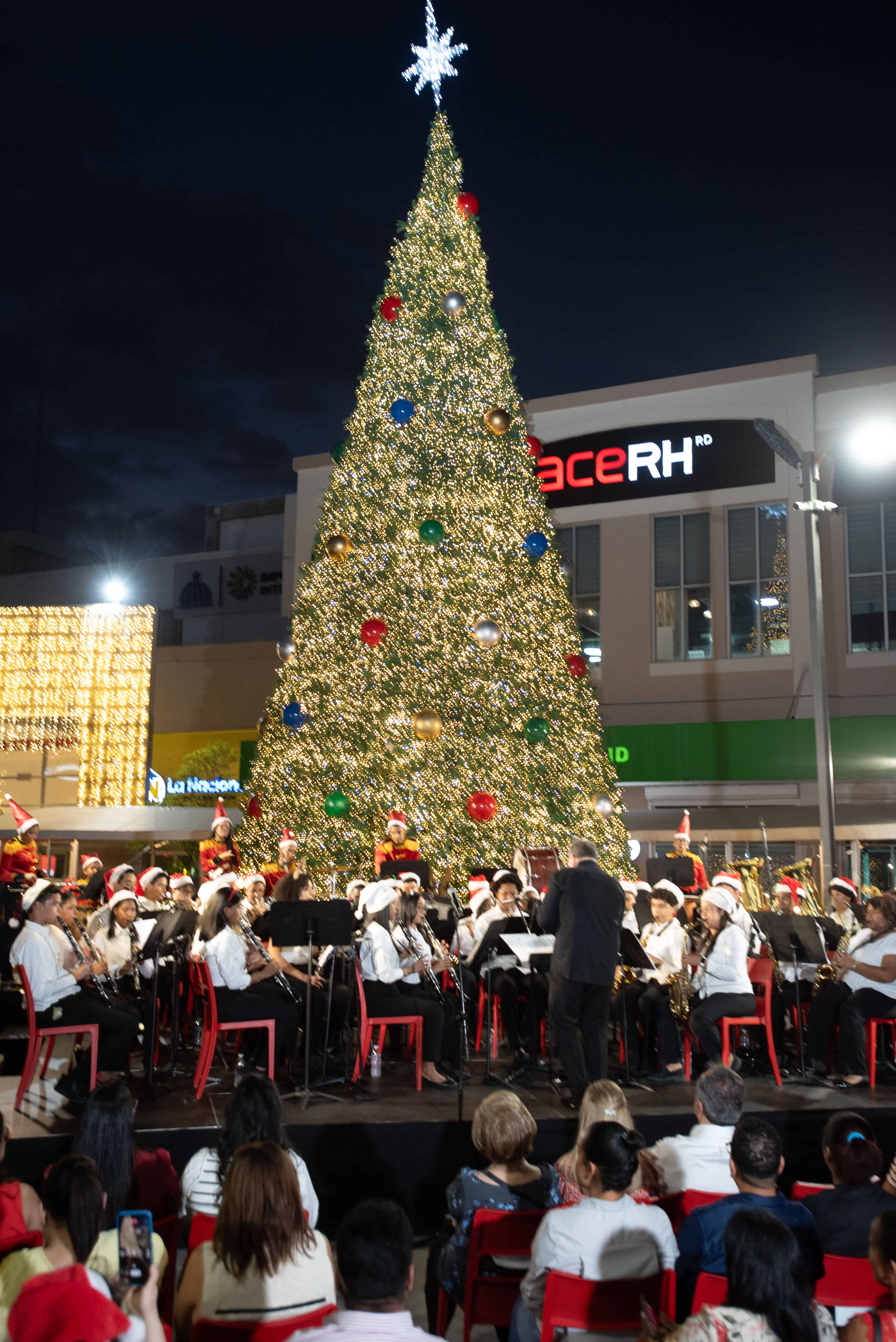 Una vista del público, la orquesta y el árbol.
