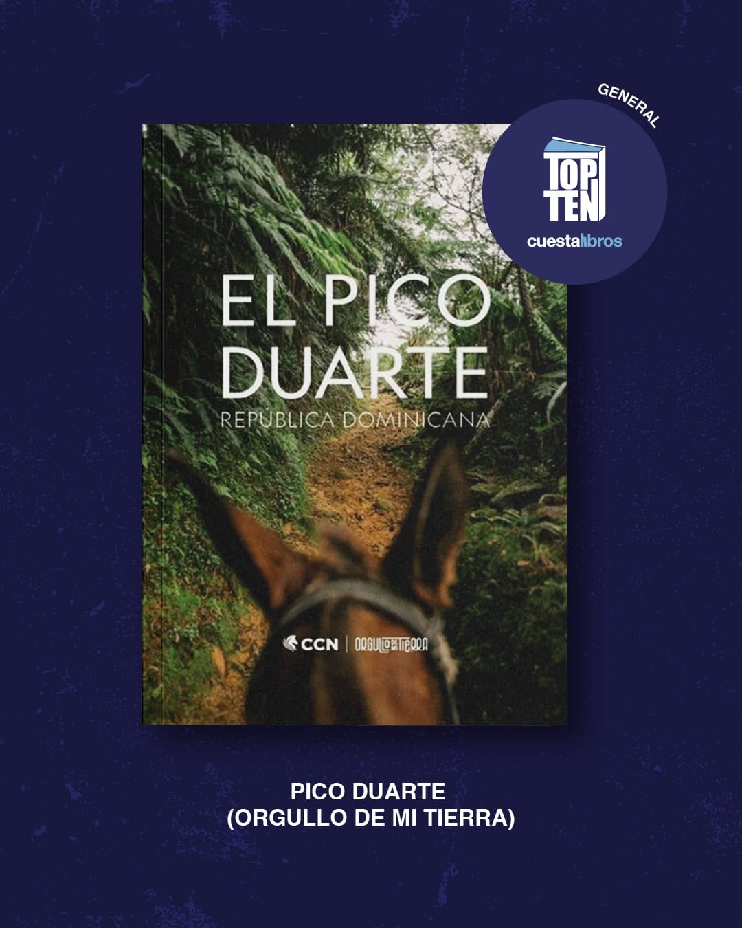 Portada del libro Pico Duarte, de Frank Báez, destacado entre los títulos más vendidos del año según Cuesta Libros.<br>