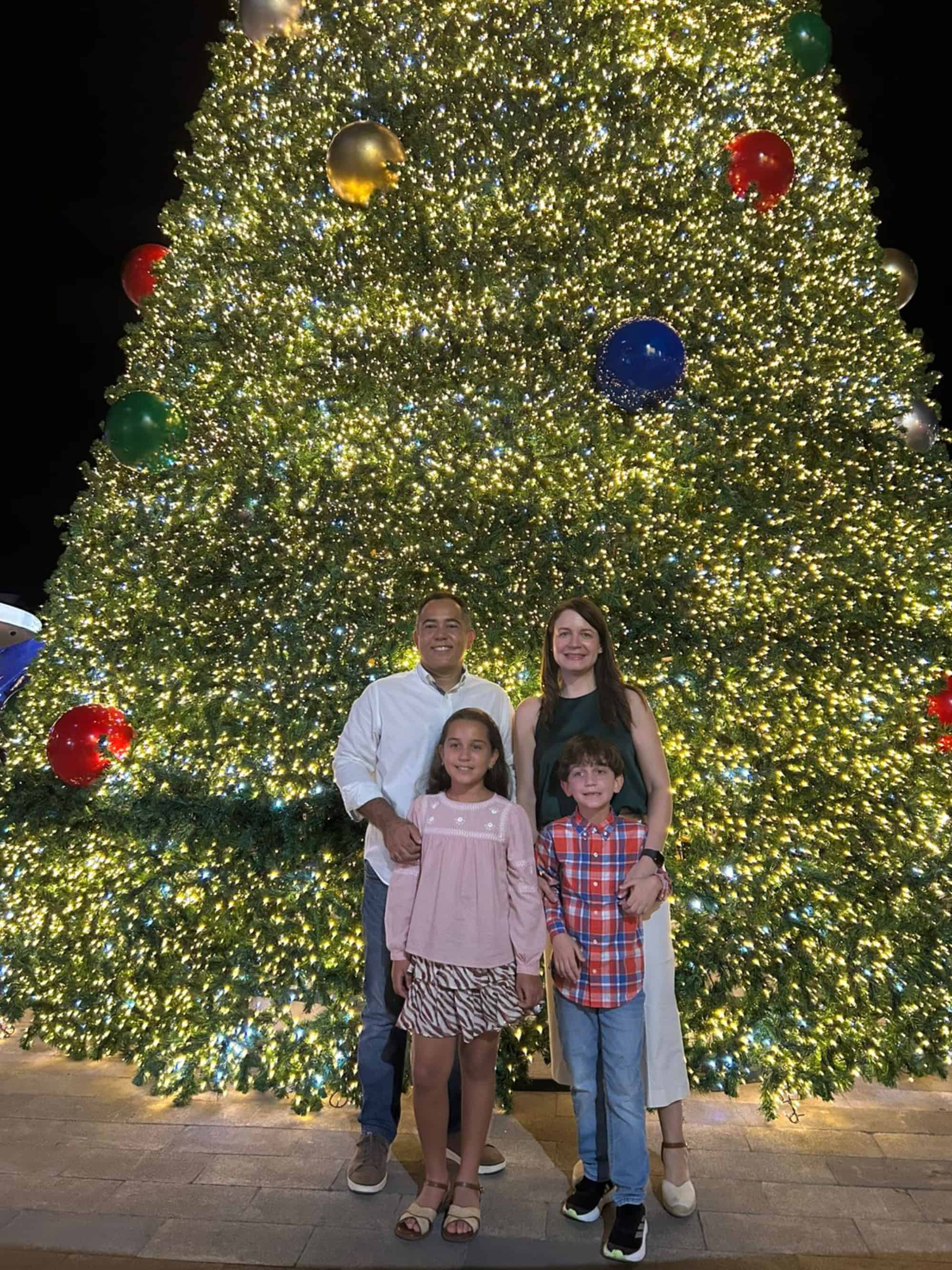 De izquierda a derecha, Iván Román, Rosanna Encarnación, Valentina Román e Iván Enrique Román.