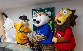 Mascotas de la Lidom desatan risas en la redacción de Diario Libre con el Cuestionario Viral"