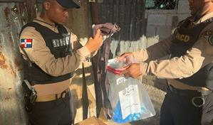 Operativos antidrogas dejan más de medio millón de gramos decomisados