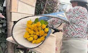 Las rosas más bellas del mundo son de Ecuador