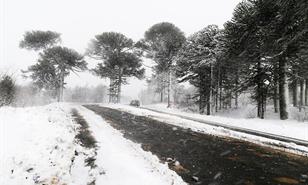 Nieve y lluvia provocan caos vial en Nueva York