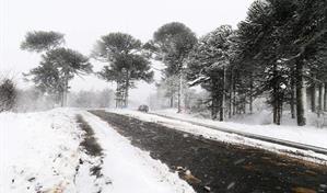 Tormenta invernal que afecta Estados Unidos no incidirá en República Dominicana