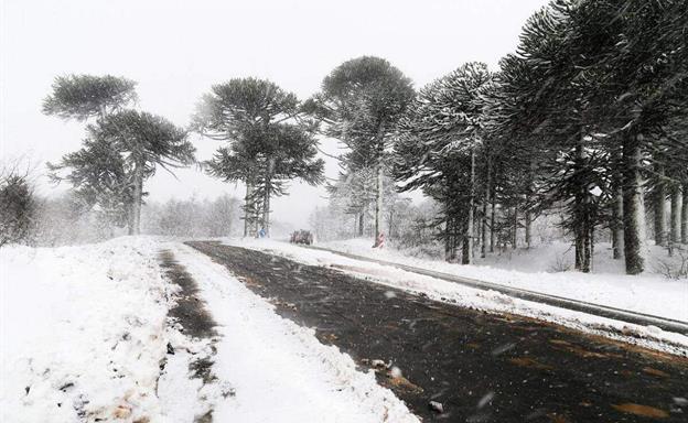 Tormenta invernal que afecta Estados Unidos no incidirá en República Dominicana