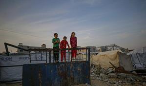 2025 el año más mortífero y destructivo para palestinos desde 1967, según 12 ONG israelíes