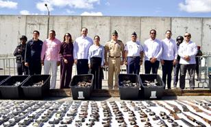 Autoridades destruyen más de 3,900 armas ilegales recuperadas en operativos de 2025