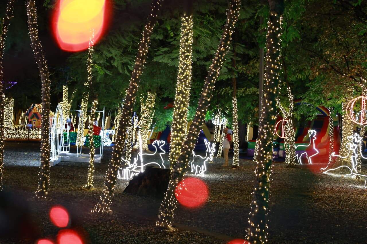 Los jardines del Palacio de los Deportes del Centro Olímpico Juan Pablo Duarte, donde se estará el parque hasta el 5 de enero de 2026.