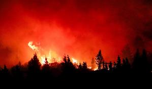 Incendios forestales arrasan más de 21,000 hectáreas en la Patagonia argentina