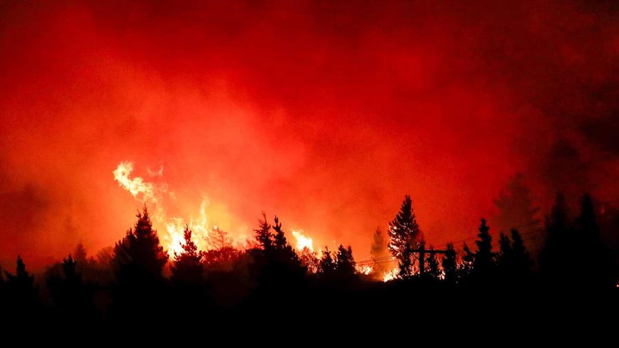 Incendios forestales arrasan más de 21,000 hectáreas en la Patagonia argentina