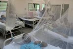 Cuba eleva a 40.174 el número total de casos de chikunguña en la actual epidemia