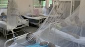 Cuba eleva a 40.174 el número total de casos de chikunguña en la actual epidemia
