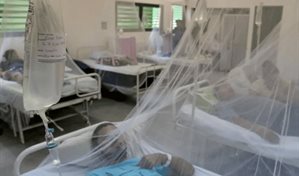 Cuba eleva a 40.174 el número total de casos de chikunguña en la actual epidemia