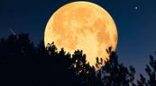 La última superluna del año brillará esta semana en el cielo nocturno