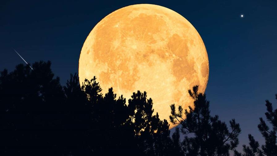 La última superluna del año brillará esta semana en el cielo nocturno La última superluna del año brillará esta semana en el cielo nocturno