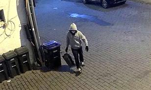 Hombre que plant&oacute; bombas antes del asalto al Capitolio niega que tuviera objetivo concreto