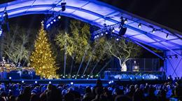 Trump y la primera dama encienden el árbol navideño de la Casa Blanca