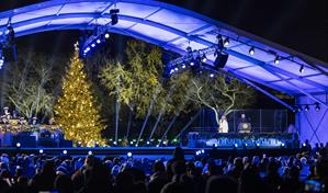 Trump y la primera dama encienden el árbol navideño de la Casa Blanca