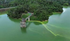 Medio Ambiente investiga color verdoso en las aguas de la presa de Hatillo